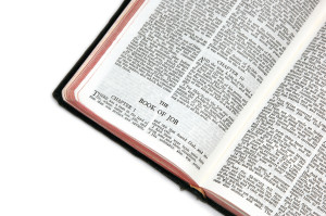 Bible Open To The Book Of Job