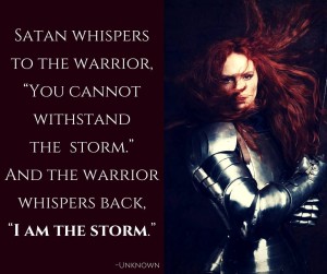 warrior storm